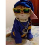 TheRobloxYT