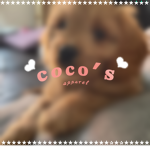 -coco’s apparel-