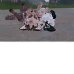 -!~Branched Clans~!- [Filming & Other]