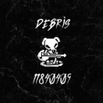 †・debris
