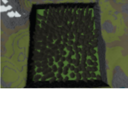 Forest (beta)