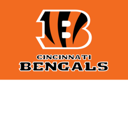 bengals stadium