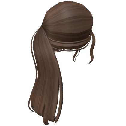 Aesthetic Fluffy Ponytail In Brown