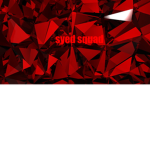 SY Group