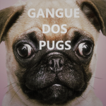 gangue dos pugs