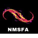 [NMSFA] National Middle School Football