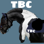 Thunder Bolts Strideway