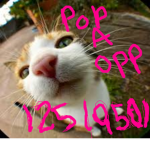Pop A Opp