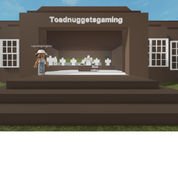 Nugget shop