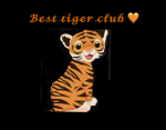Best tiger club
