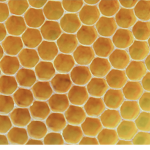 -(The Hive)-