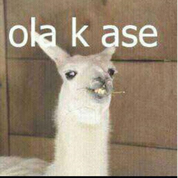 update Ola k assssssse