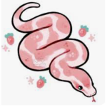 Strawberry snake Colt