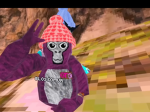 Blossomvr