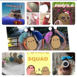 :) Potato squad :)