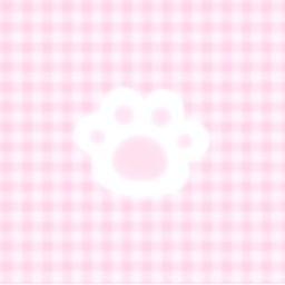 🎀 💤 ꒱ (｡•ω•｡)💢 ✩🍖