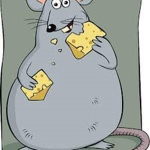 FAT rat group