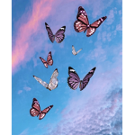 Butterfly Sis