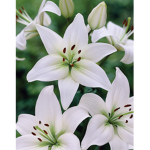 NatureMatters