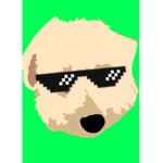 kool dog kids