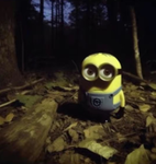 Minionfans yay