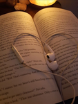 ʚღɞReading Groupiesʚღɞ