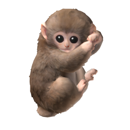 Punch Monkey on Shoulder