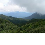 Tropical Troopers TT