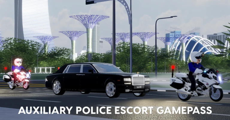 Auxiliary Police Escort🚨