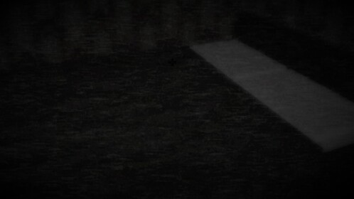 A Distant Nightmare