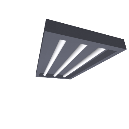 Light