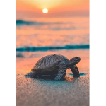 Turtle Group ###