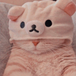 Aesthetic Gia
