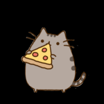Pizza !!