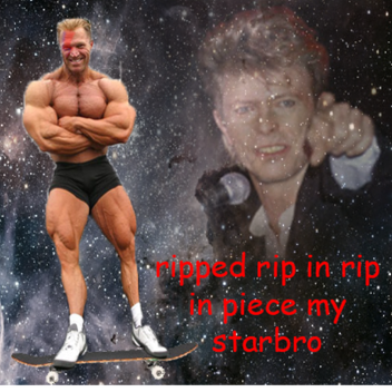 ripped in rip bowie 