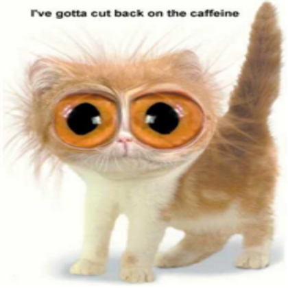 funny cat Roblox decal