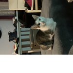 Familie/Freunde