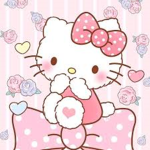 the sanrio club !