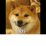The doge!!
