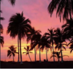 VIBE-BEACH