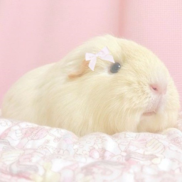 ❀