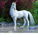Unicorn world group L
