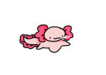_.hi._