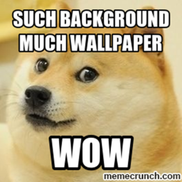 THE NAVY DOGE NAVY