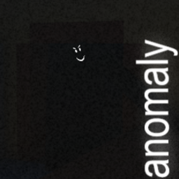 there's an anomaly in my house