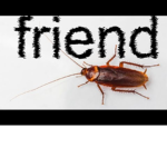 Comforting Roaches
