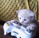 The super gamer squad