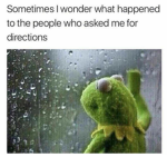 R.I.P kermit