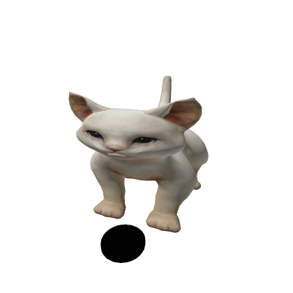 tinker the evil kitty