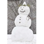 Snow man kingdom